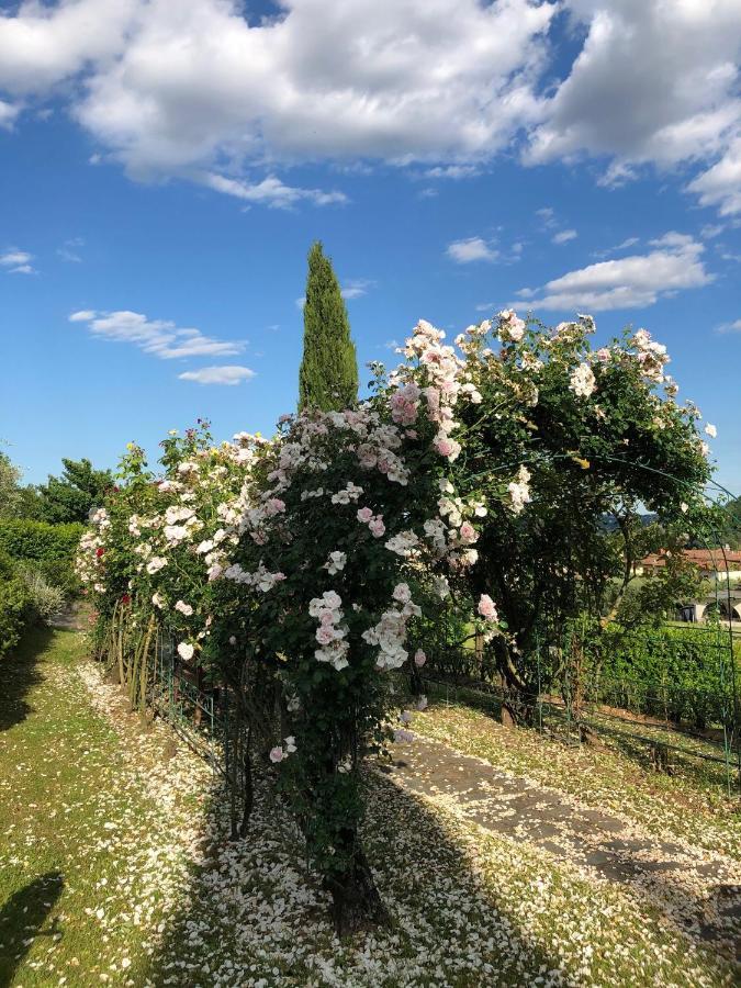 Hotel Il Giardino Di Flora Buti Exterior foto